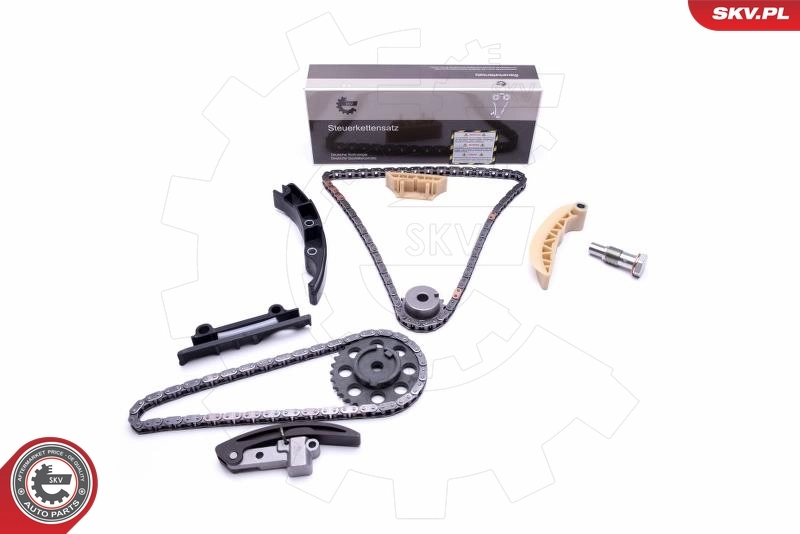 Timing Chain Kit